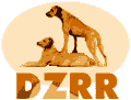 DZRR Logo